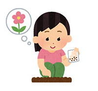 第5段階:植え付け