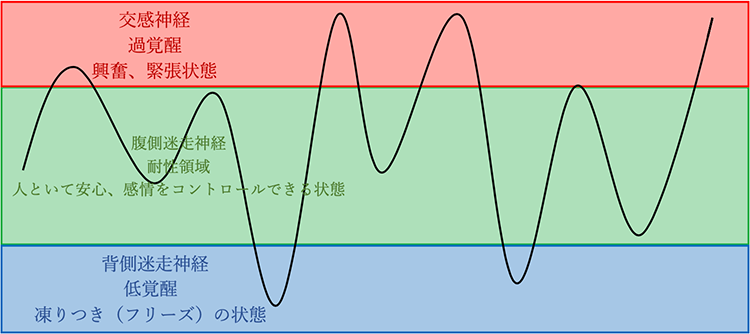 安心感を十分に感じられる環境で育ち、腹側迷走神経が発達している状態