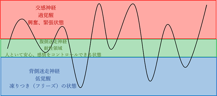 安心感が不十分な環境で育ち、腹側迷走神経が十分に発達していない状態